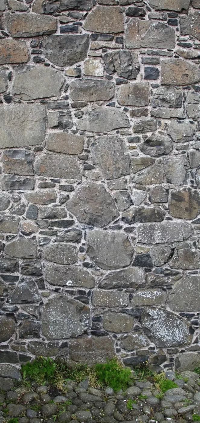 Stone Wall 8X16 Ultracloth ( 96 X 192 Inch ) Backdrop