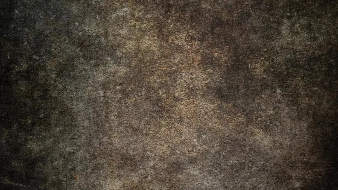 Stoneybrook Brown 14X8 Ultracloth ( 168 X 96 Inch ) Backdrop