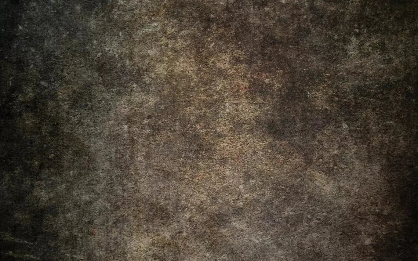 Stoneybrook Brown 14X9 Ultracloth ( 168 X 108 Inch ) Backdrop