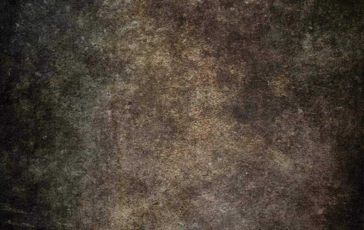 Stoneybrook Brown 16X10 Ultracloth ( 192 X 120 Inch ) Backdrop