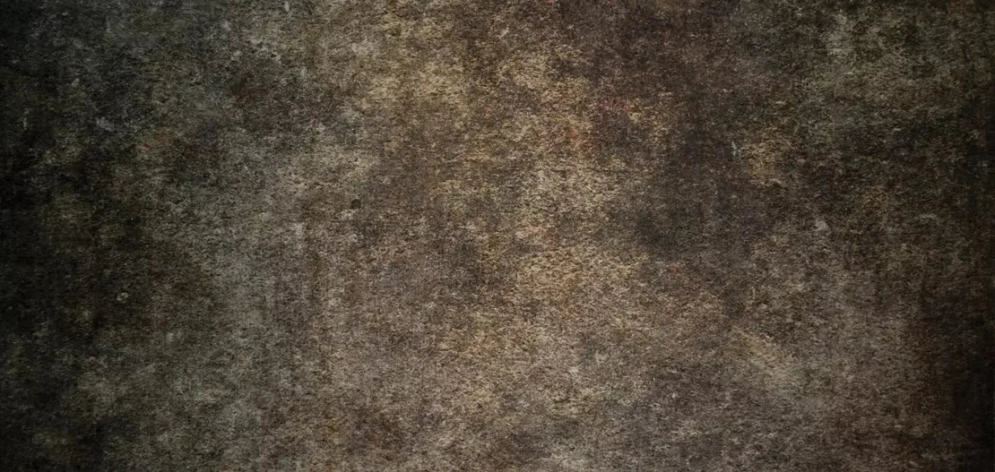 Stoneybrook Brown 16X8 Ultracloth ( 192 X 96 Inch ) Backdrop