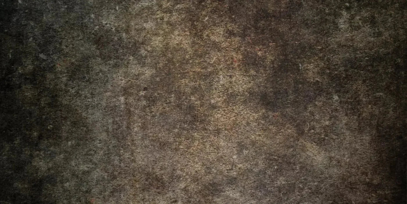 Stoneybrook Brown 20X10 Ultracloth ( 240 X 120 Inch ) Backdrop