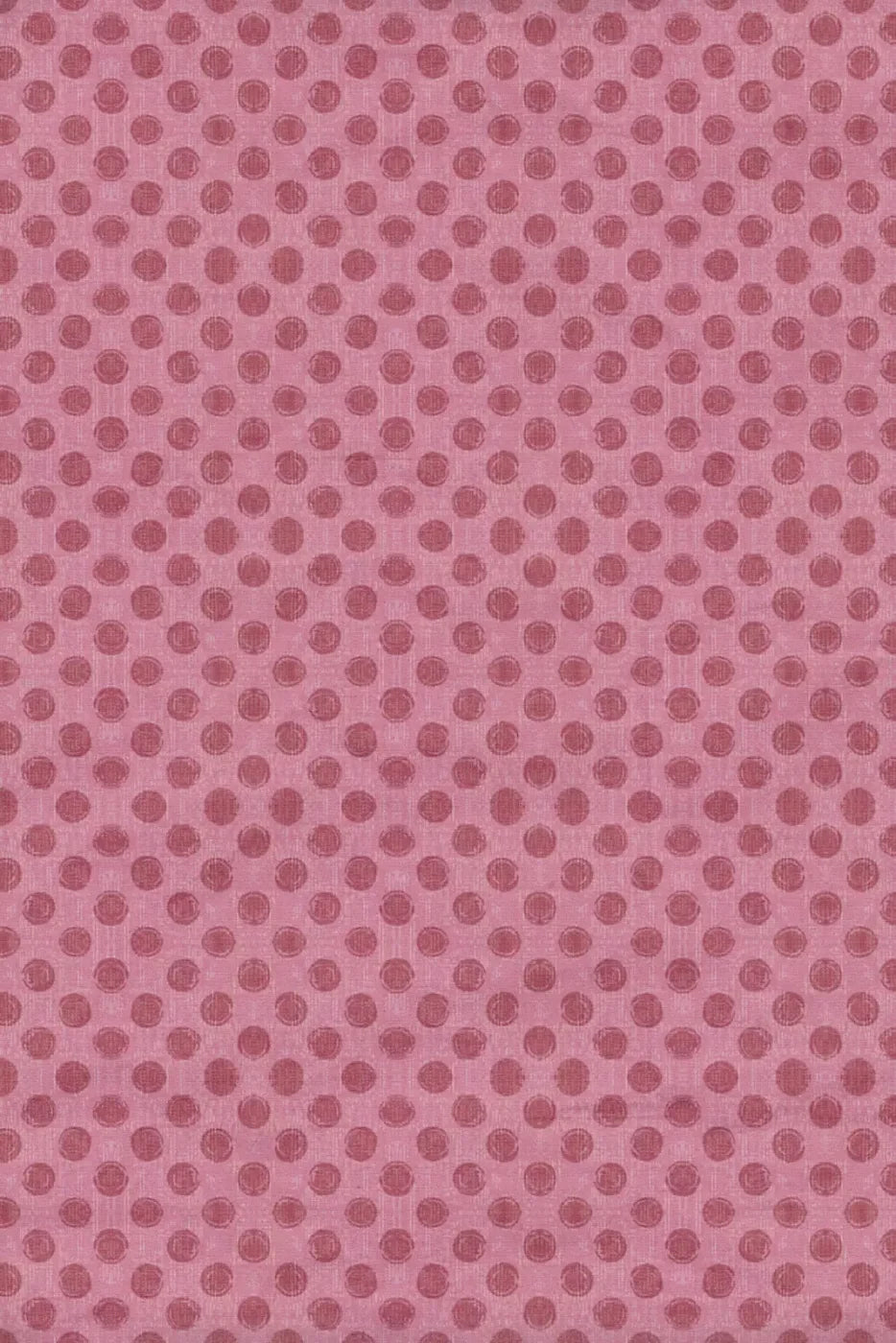 Strawberry Delight Backdrop