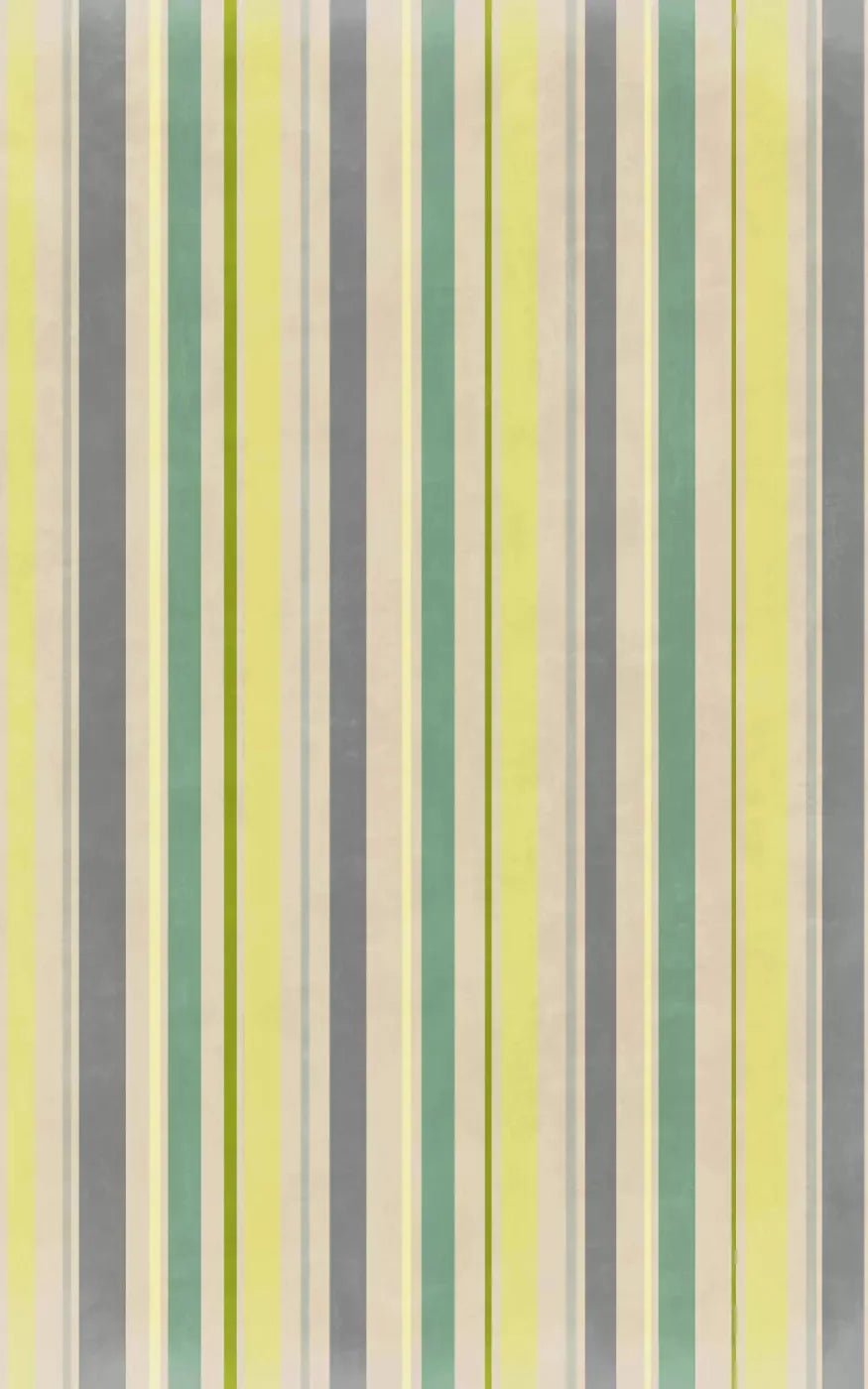 Striped Contempo 9X14 Ultracloth ( 108 X 168 Inch ) Backdrop