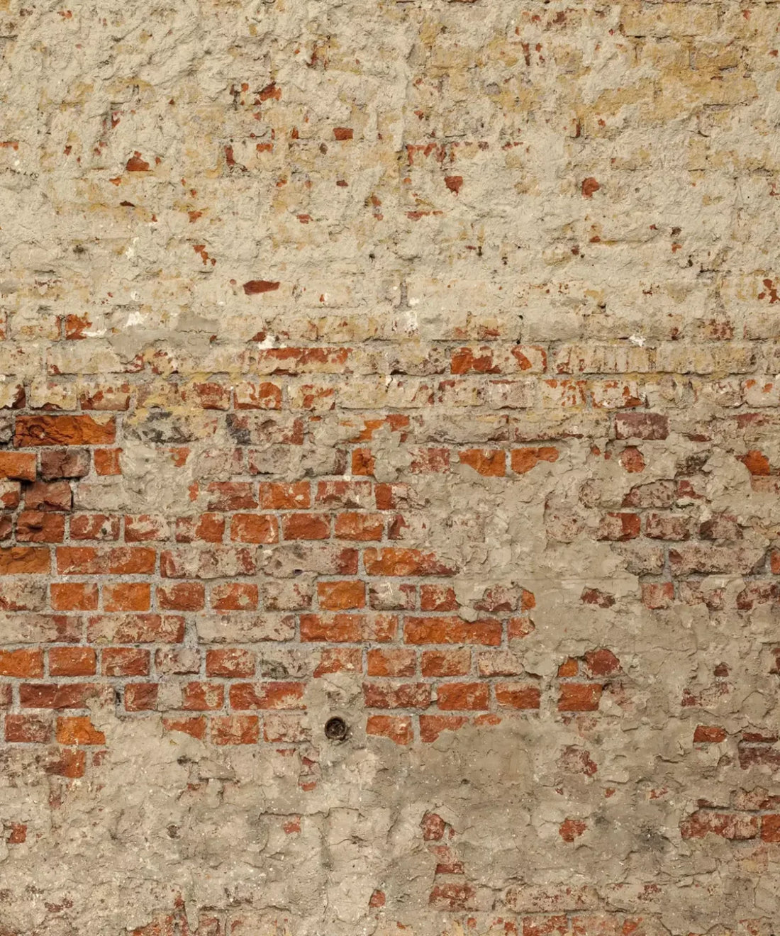 Brown Brick and Stone Backdrop for Photography