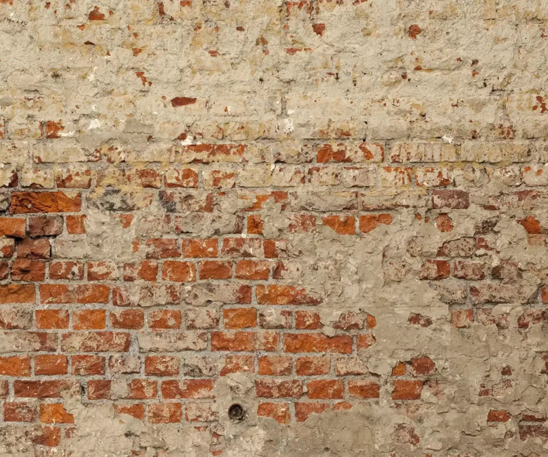 Studio 5’X4’2’ Fleece (60 X 50 Inch) Backdrop