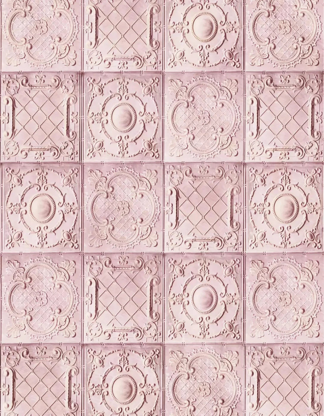 Sugar And Spice 6X8 Fleece ( 72 X 96 Inch ) Backdrop