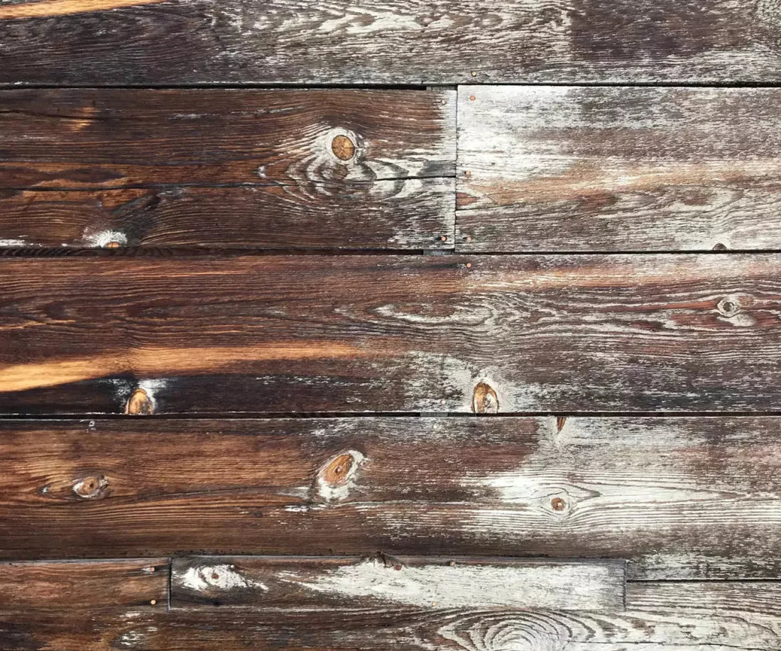 Summerville 5X42 Fleece ( 60 X 50 Inch ) Backdrop