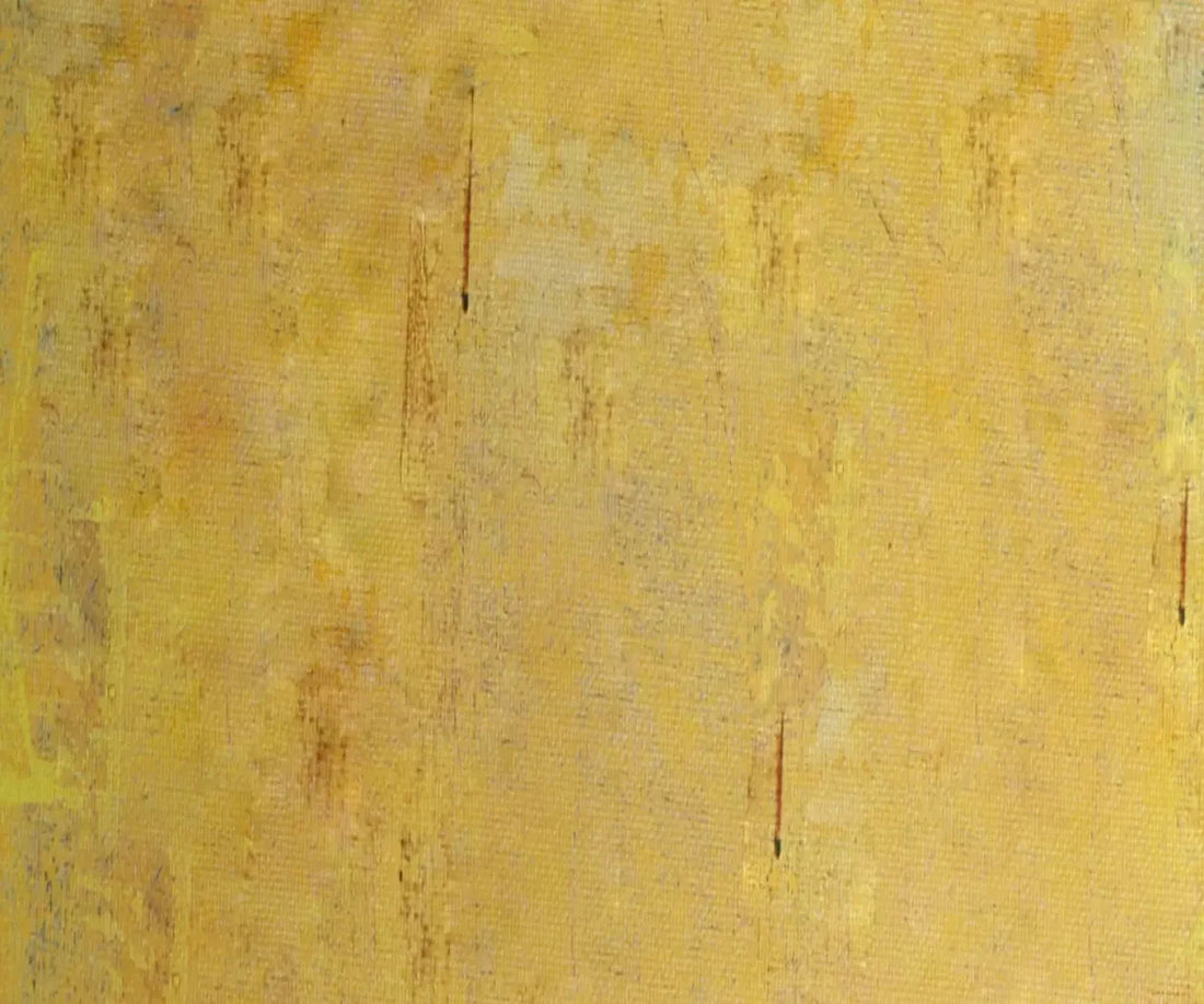 Sunny 5X42 Fleece ( 60 X 50 Inch ) Backdrop