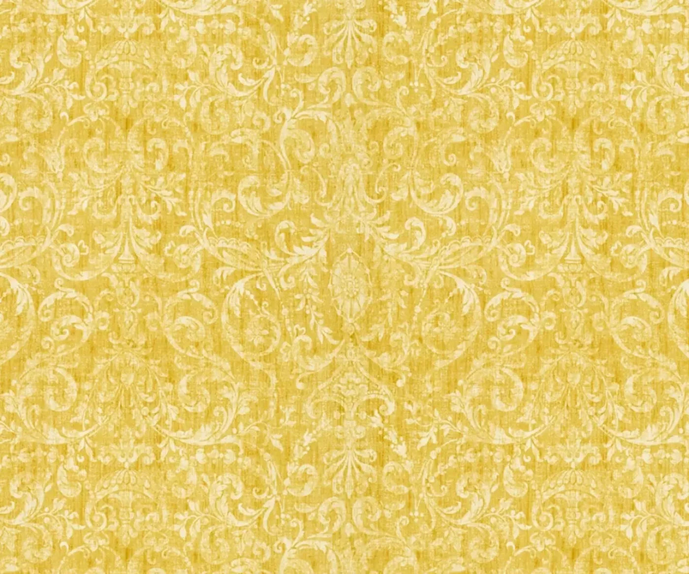 Sunny Day 5X42 Fleece ( 60 X 50 Inch ) Backdrop