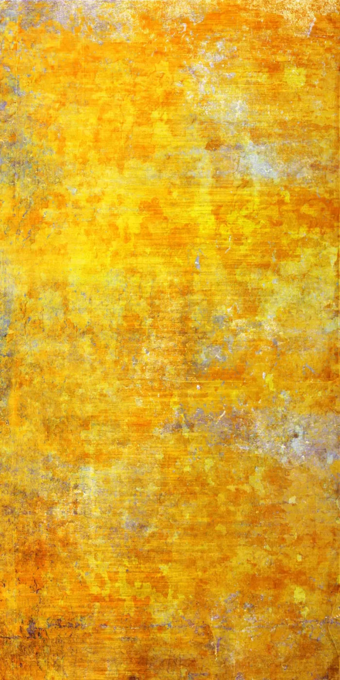 Sunshine Grunge 10X20 Ultracloth ( 120 X 240 Inch ) Backdrop