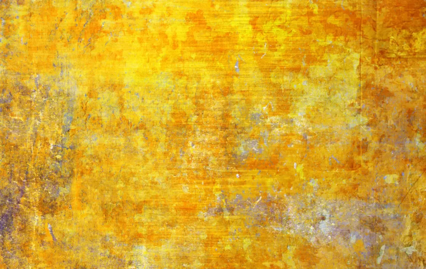 Sunshine Grunge 16X10 Ultracloth ( 192 X 120 Inch ) Backdrop