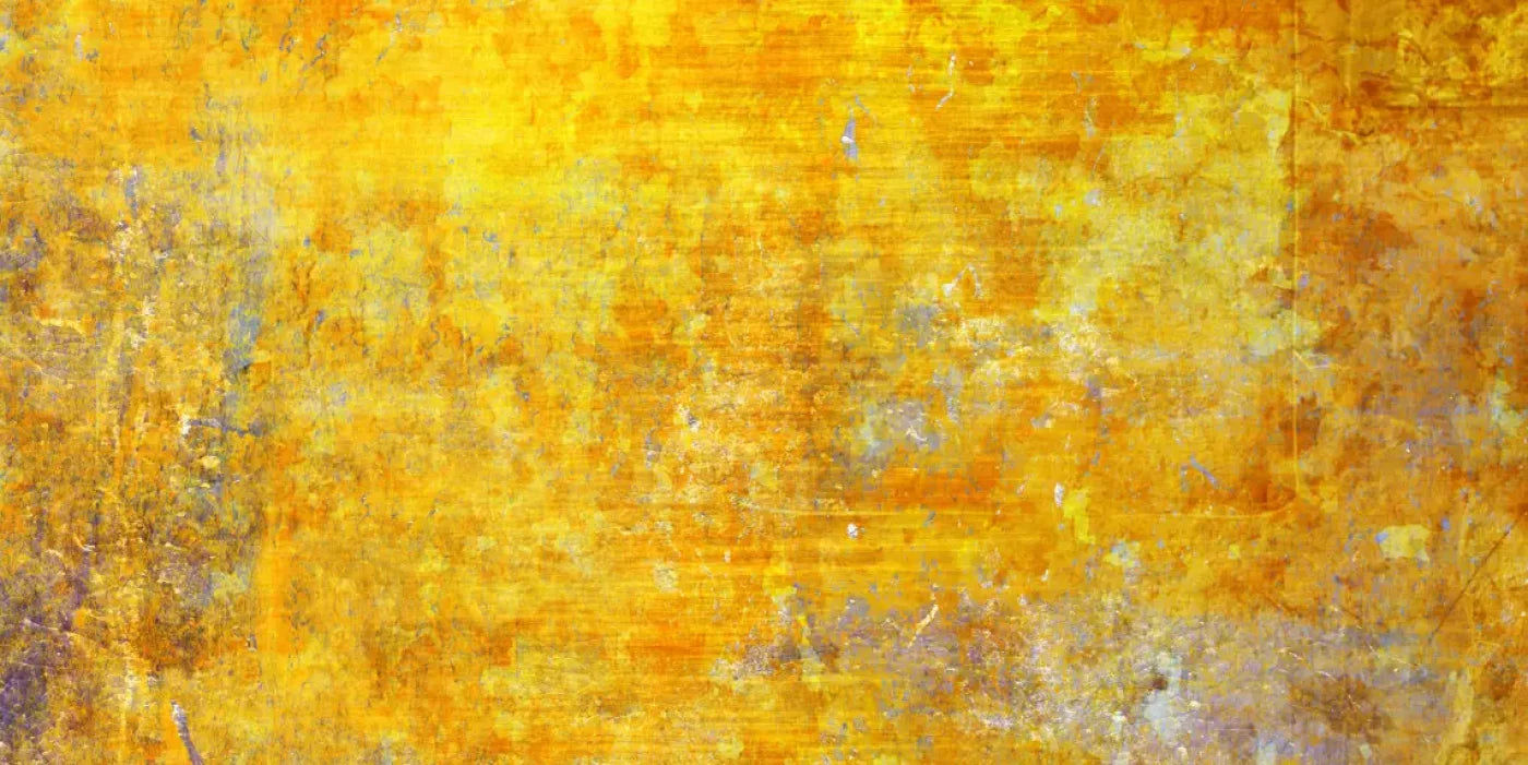 Sunshine Grunge 20X10 Ultracloth ( 240 X 120 Inch ) Backdrop