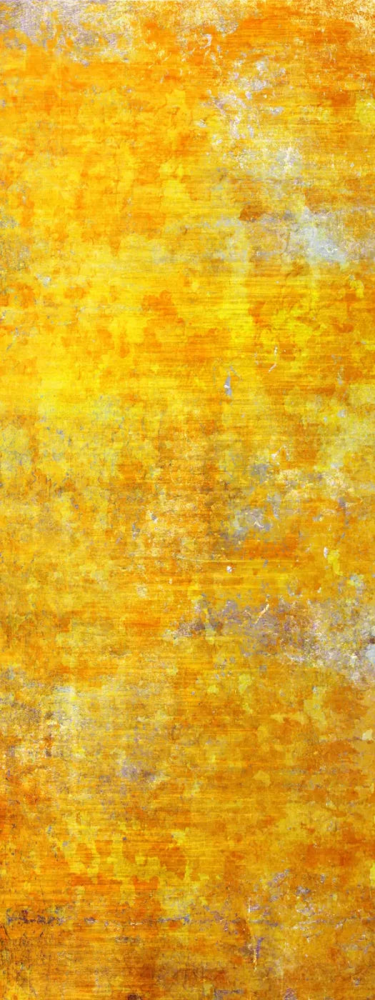 Sunshine Grunge 8X20 Ultracloth ( 96 X 240 Inch ) Backdrop