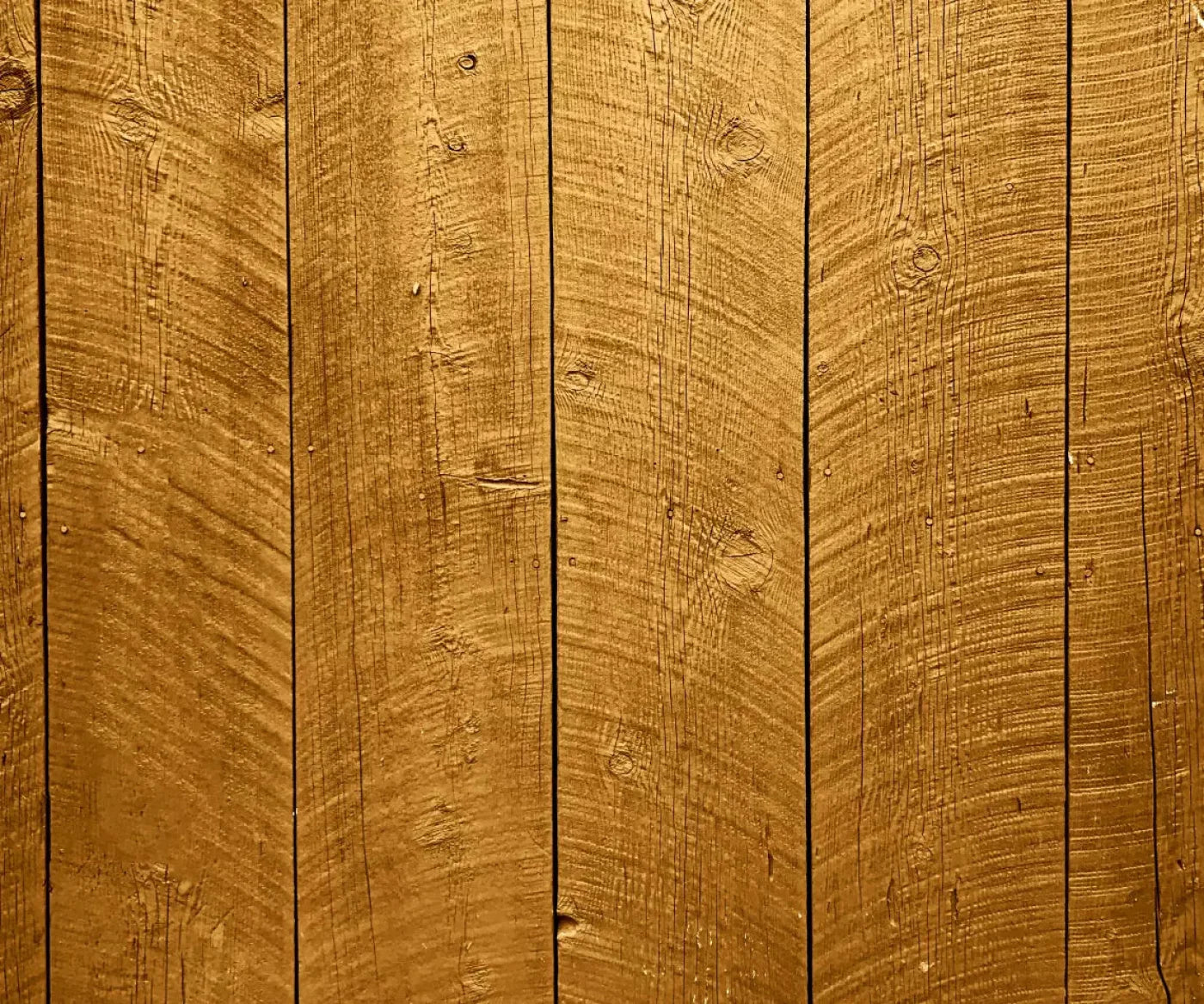 Tacoma 5X42 Fleece ( 60 X 50 Inch ) Backdrop