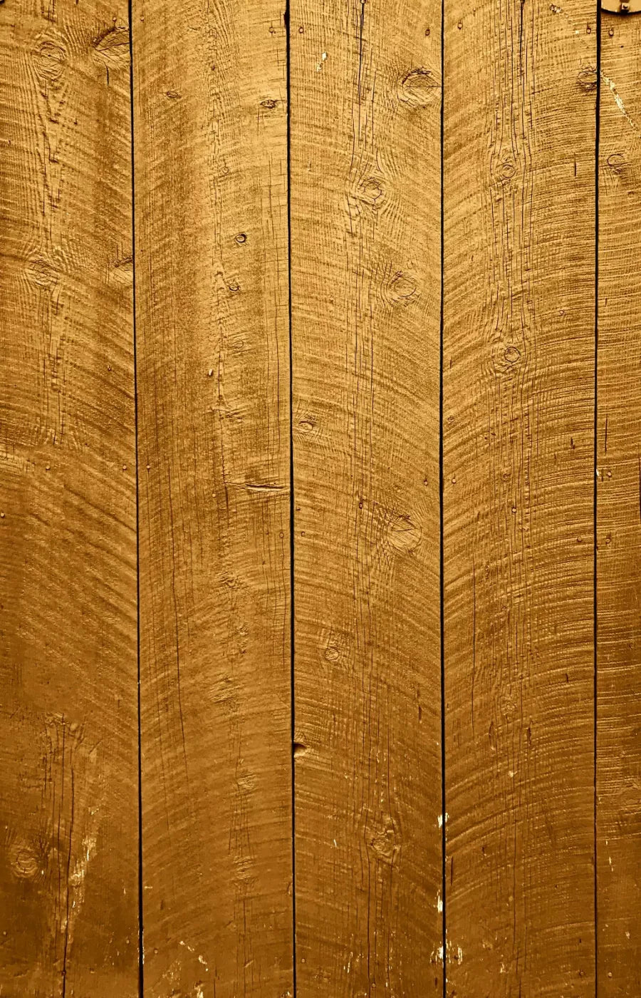 Tacoma 8X12 Ultracloth ( 96 X 144 Inch ) Backdrop