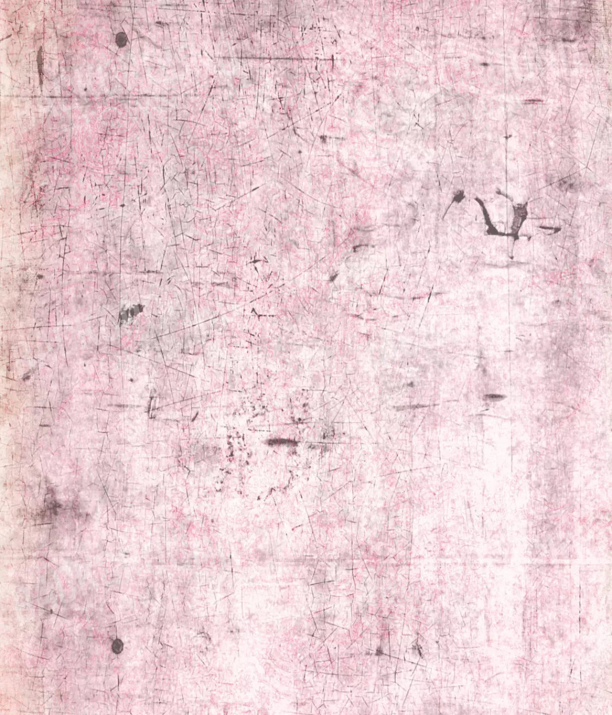 Tame 10X12 Ultracloth ( 120 X 144 Inch ) Backdrop