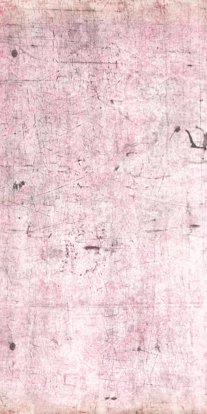 Tame 10X20 Ultracloth ( 120 X 240 Inch ) Backdrop