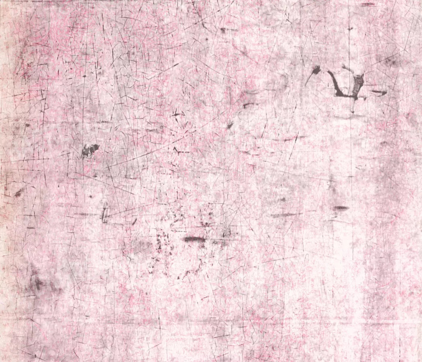 Tame 12X10 Ultracloth ( 144 X 120 Inch ) Backdrop