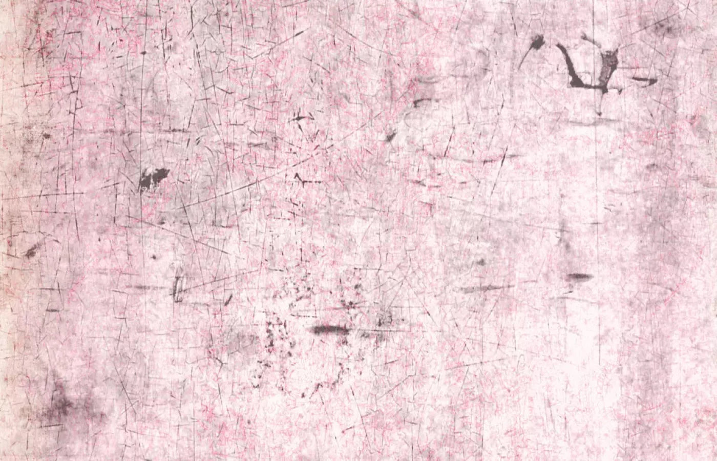 Tame 12X8 Ultracloth ( 144 X 96 Inch ) Backdrop