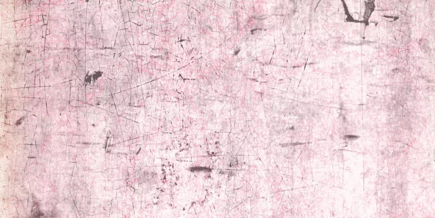 Tame 20X10 Ultracloth ( 240 X 120 Inch ) Backdrop