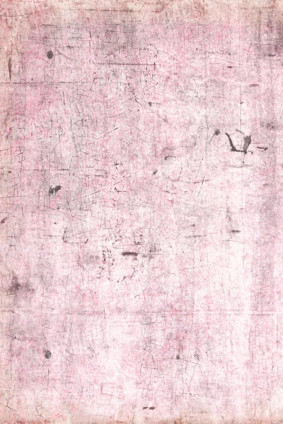 Tame 5X8 Ultracloth ( 60 X 96 Inch ) Backdrop