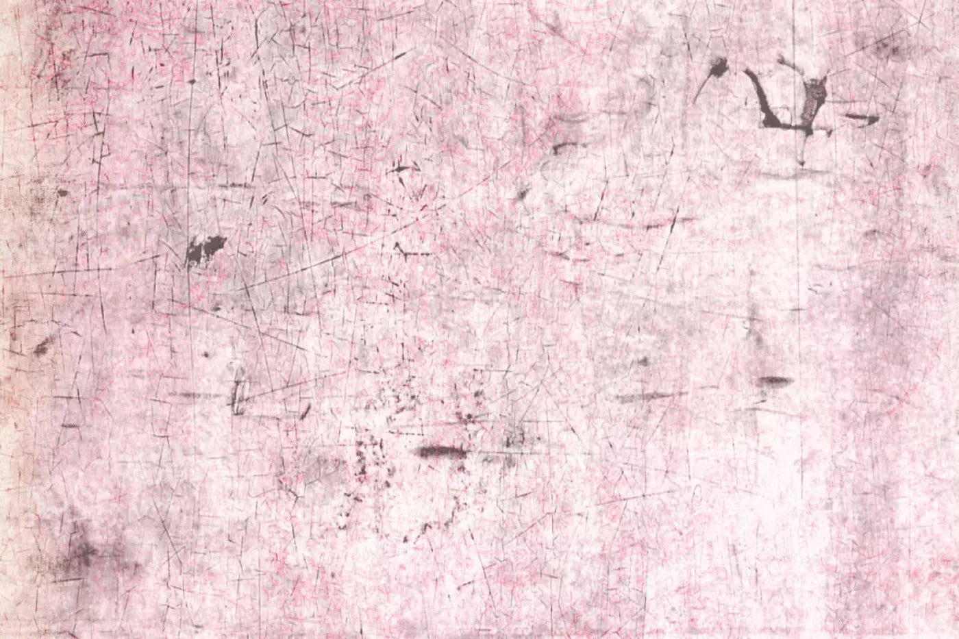 Tame 8X5 Ultracloth ( 96 X 60 Inch ) Backdrop