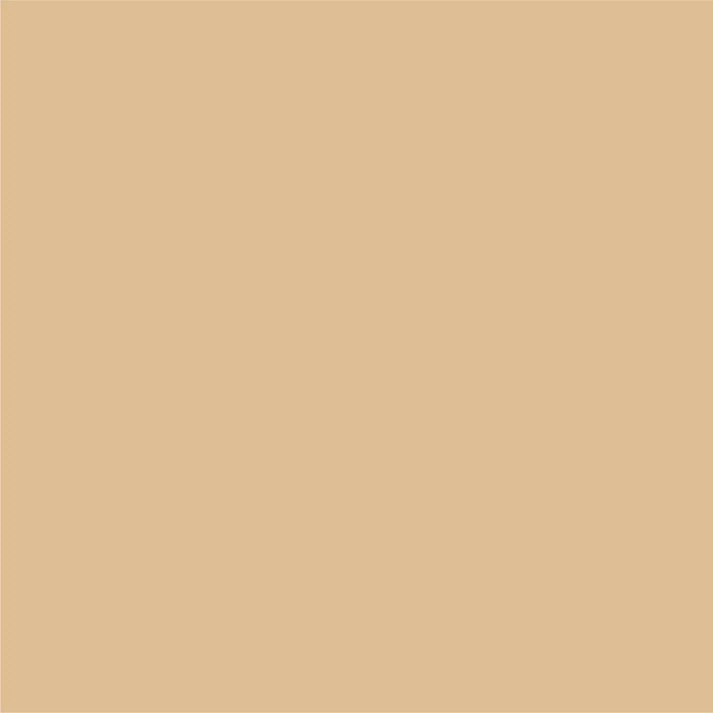 Tan 10X10 Ultracloth ( 120 X Inch ) Backdrop