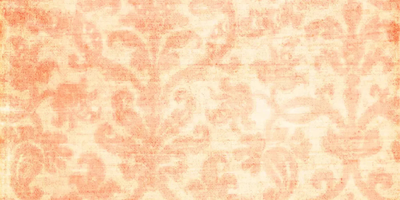 Tangerine 20X10 Ultracloth ( 240 X 120 Inch ) Backdrop