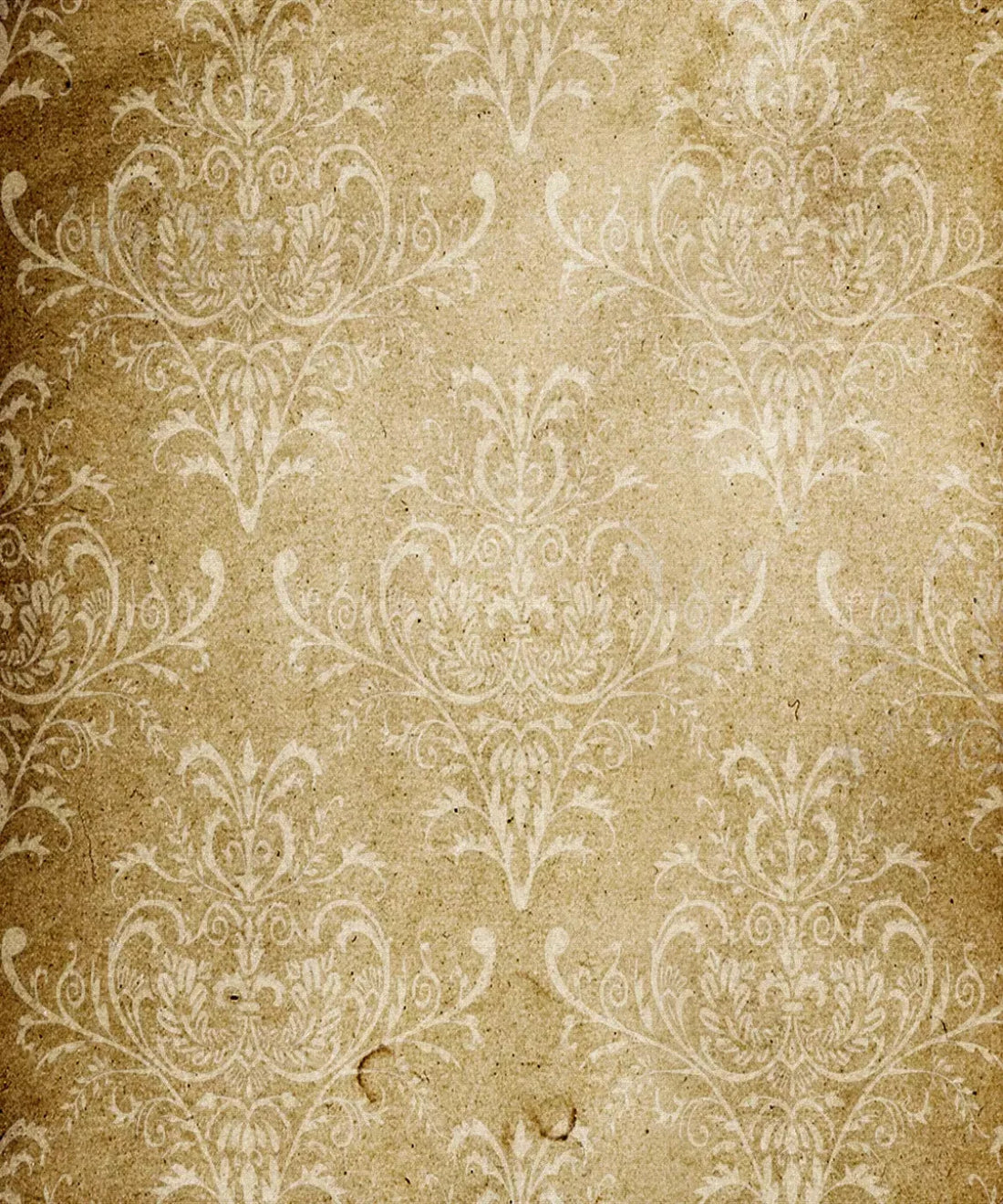 Beige Damask Backdrop for Photography
