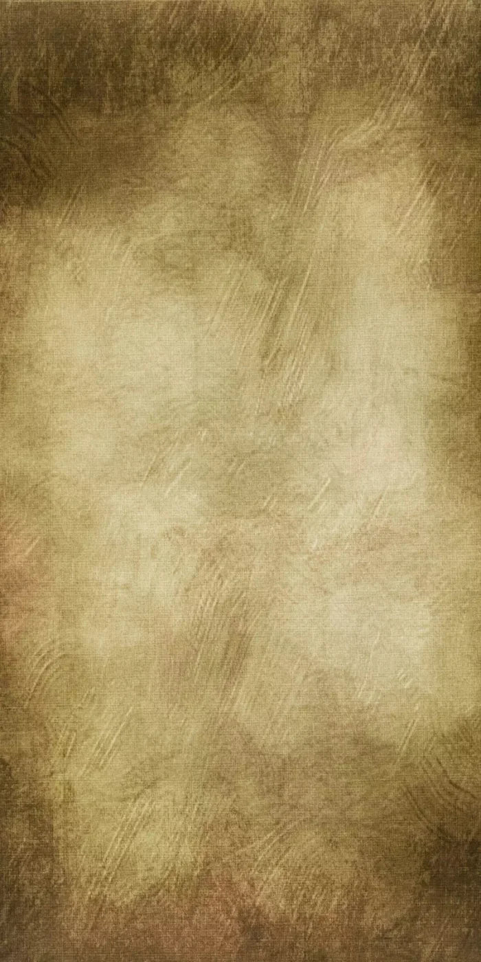Tarnished 10X20 Ultracloth ( 120 X 240 Inch ) Backdrop