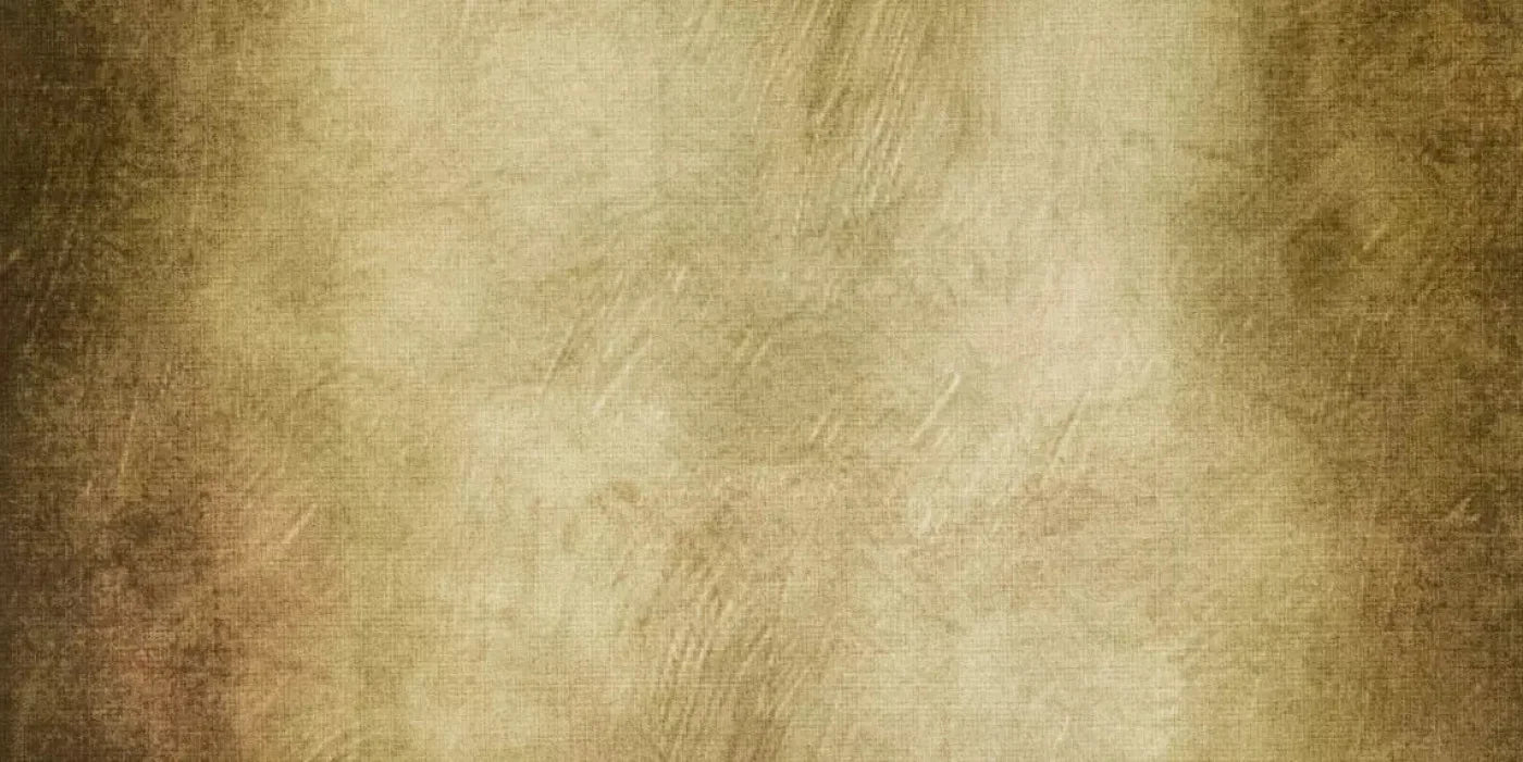 Tarnished 20X10 Ultracloth ( 240 X 120 Inch ) Backdrop