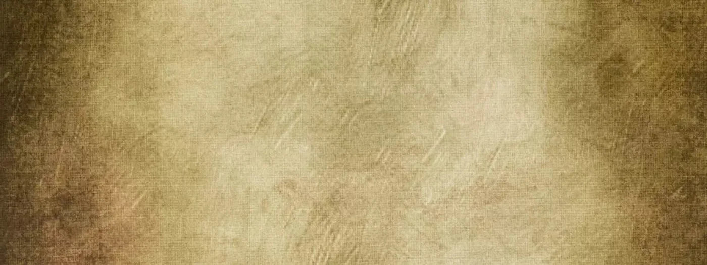 Tarnished 20X8 Ultracloth ( 240 X 96 Inch ) Backdrop