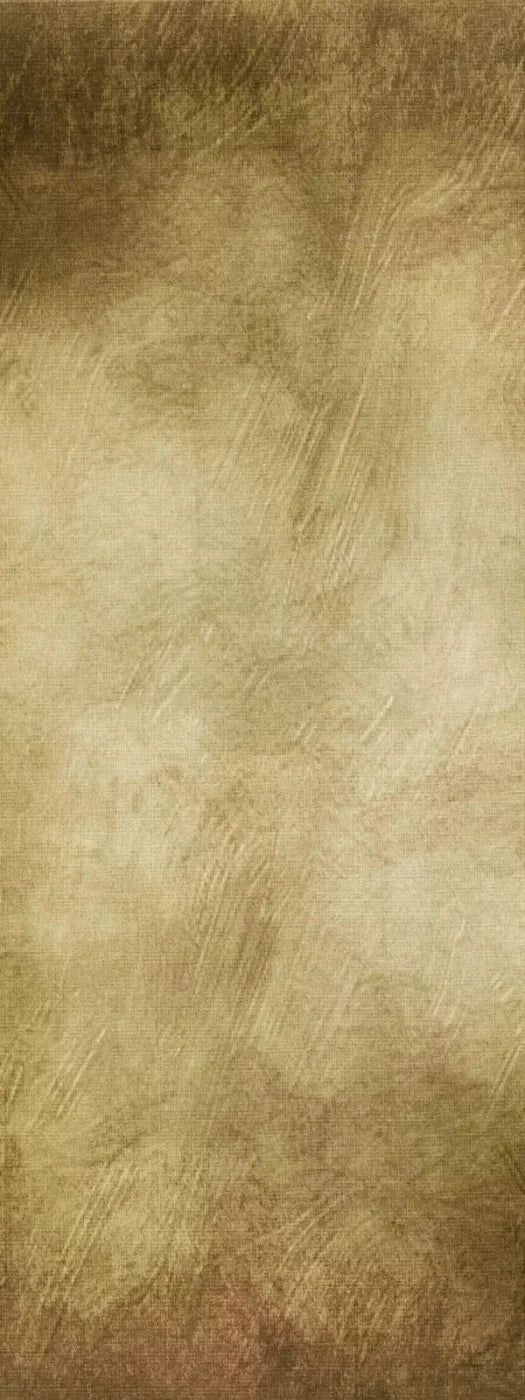 Tarnished 8X20 Ultracloth ( 96 X 240 Inch ) Backdrop