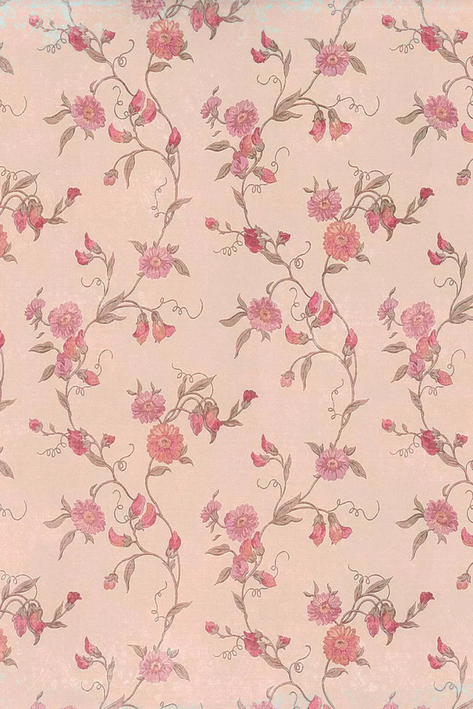 Tatiana Backdrop