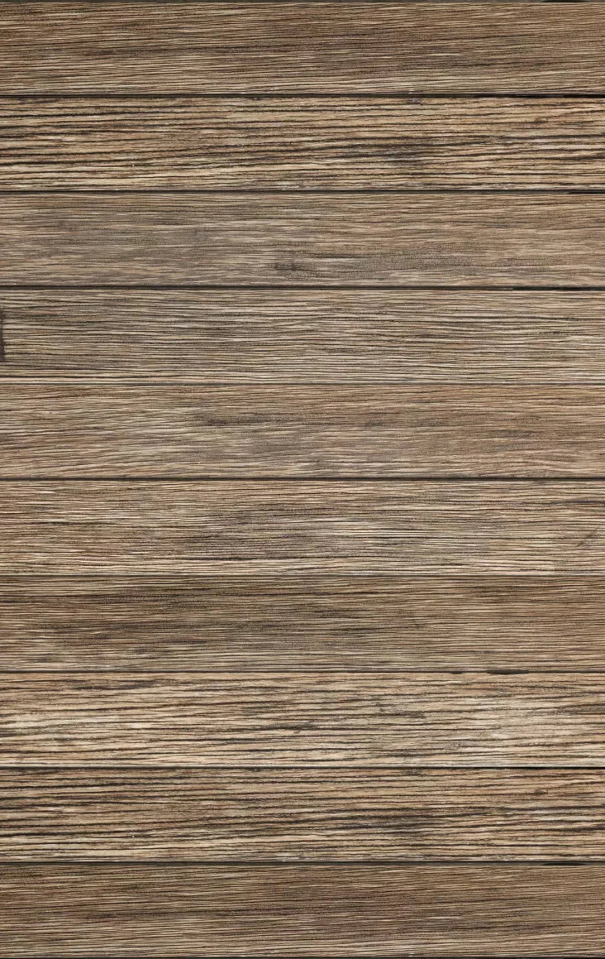 Teddy 10X16 Ultracloth ( 120 X 192 Inch ) Backdrop