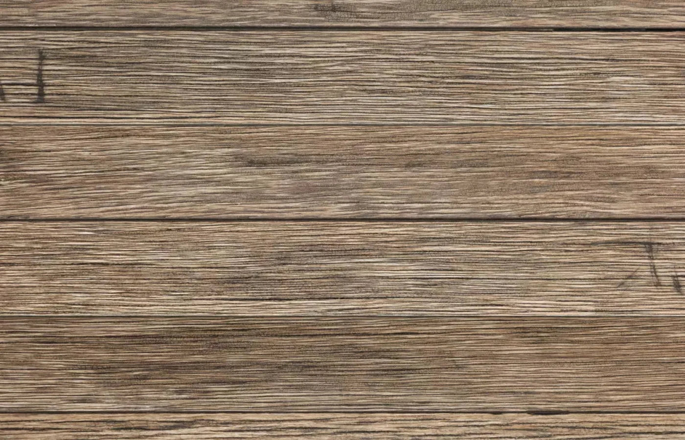 Teddy 12X8 Ultracloth ( 144 X 96 Inch ) Backdrop
