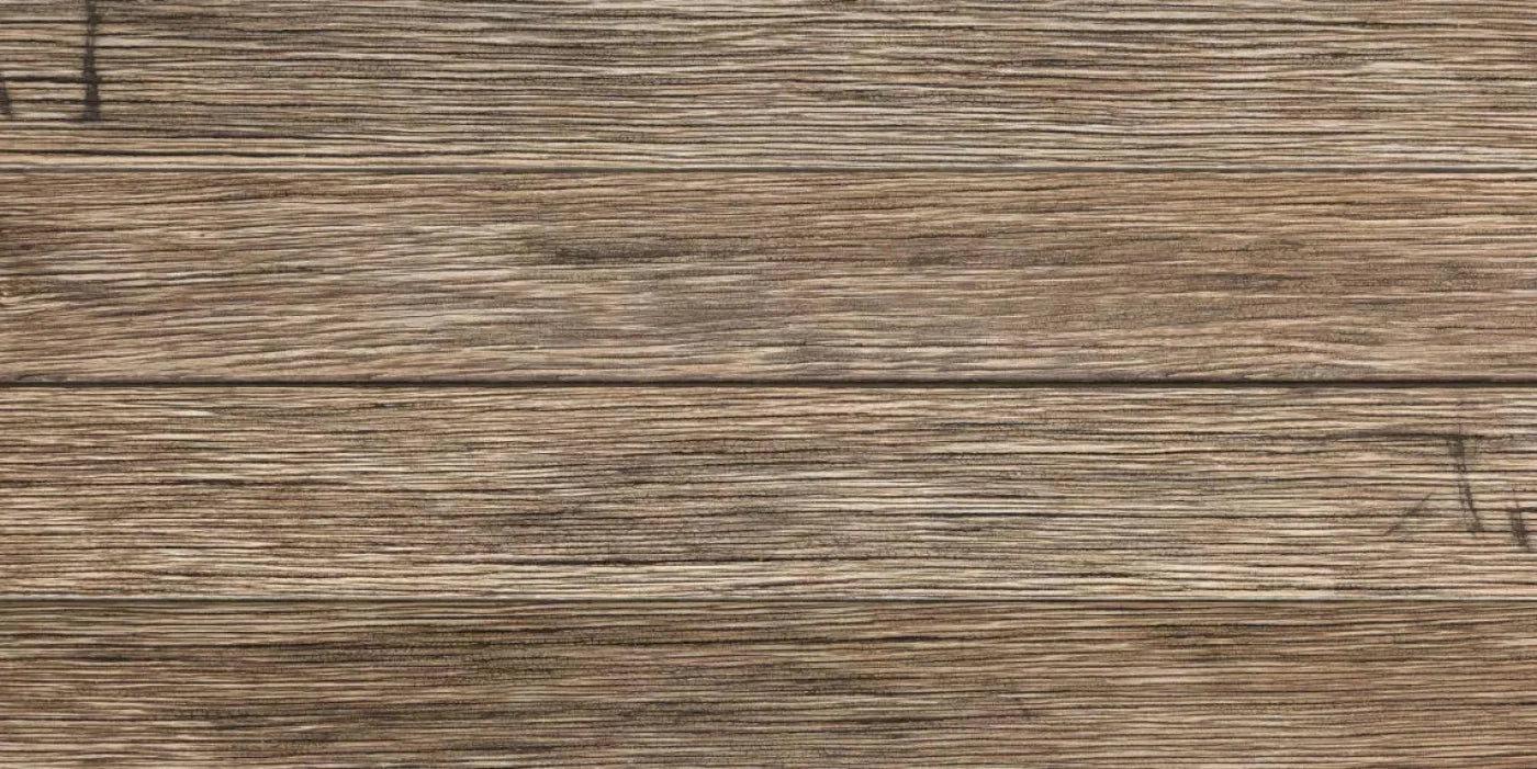 Teddy 20X10 Ultracloth ( 240 X 120 Inch ) Backdrop