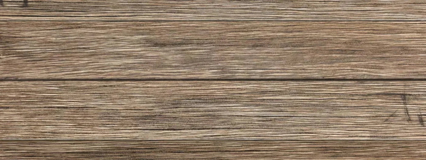 Teddy 20X8 Ultracloth ( 240 X 96 Inch ) Backdrop