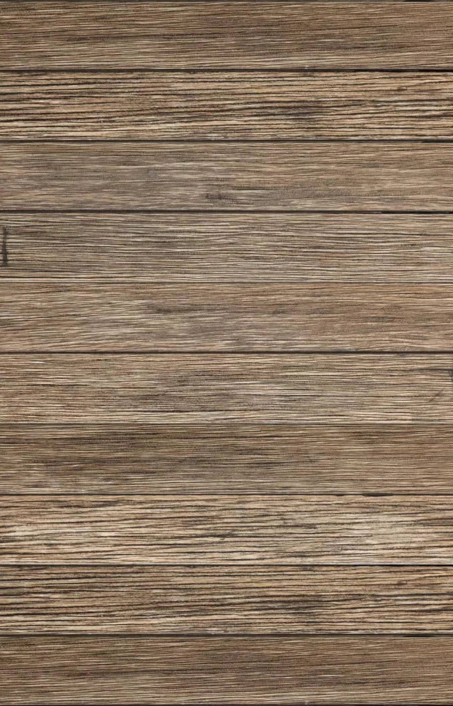 Teddy 8X12 Ultracloth ( 96 X 144 Inch ) Backdrop