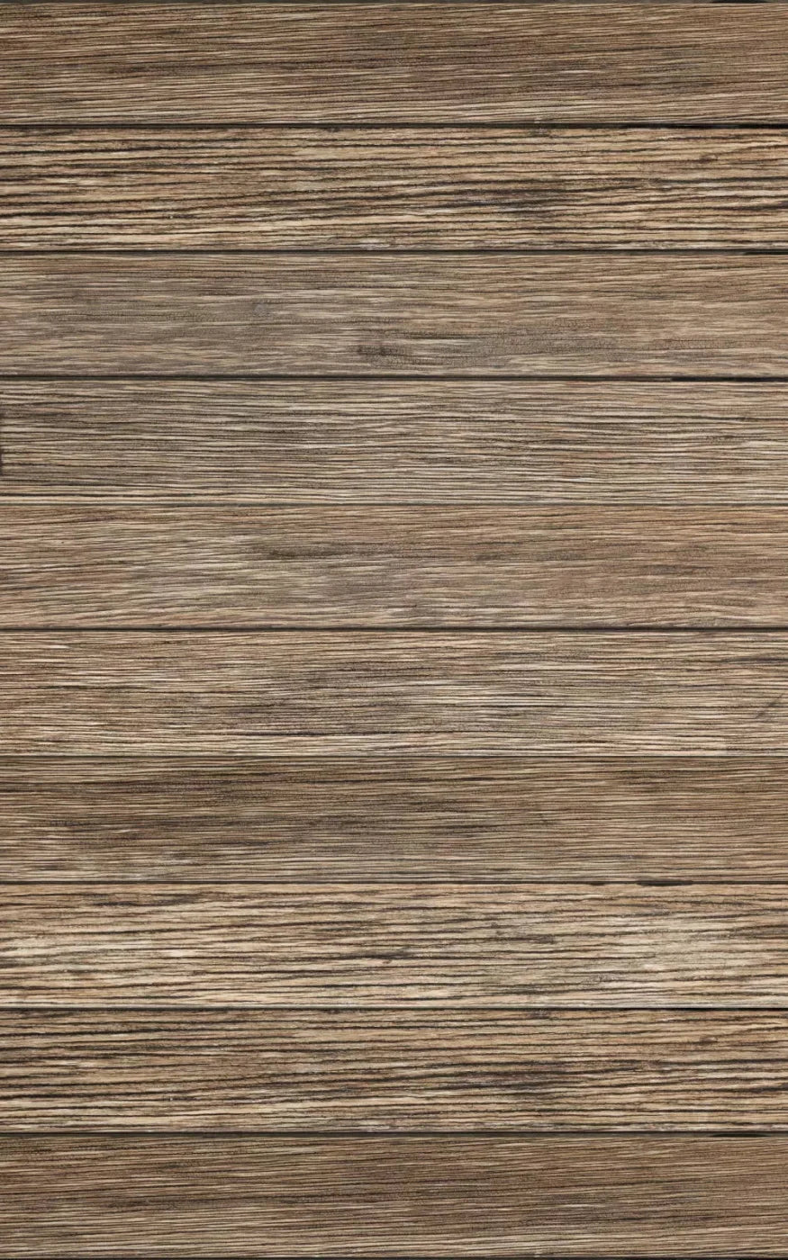 Teddy 9X14 Ultracloth ( 108 X 168 Inch ) Backdrop