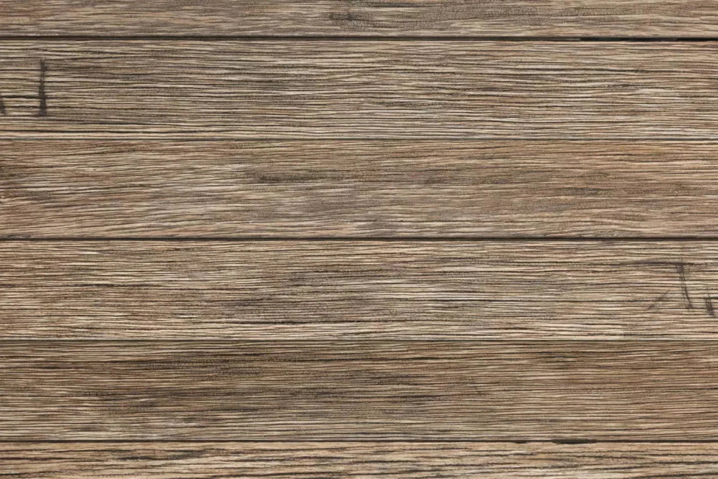 Teddy Backdrop