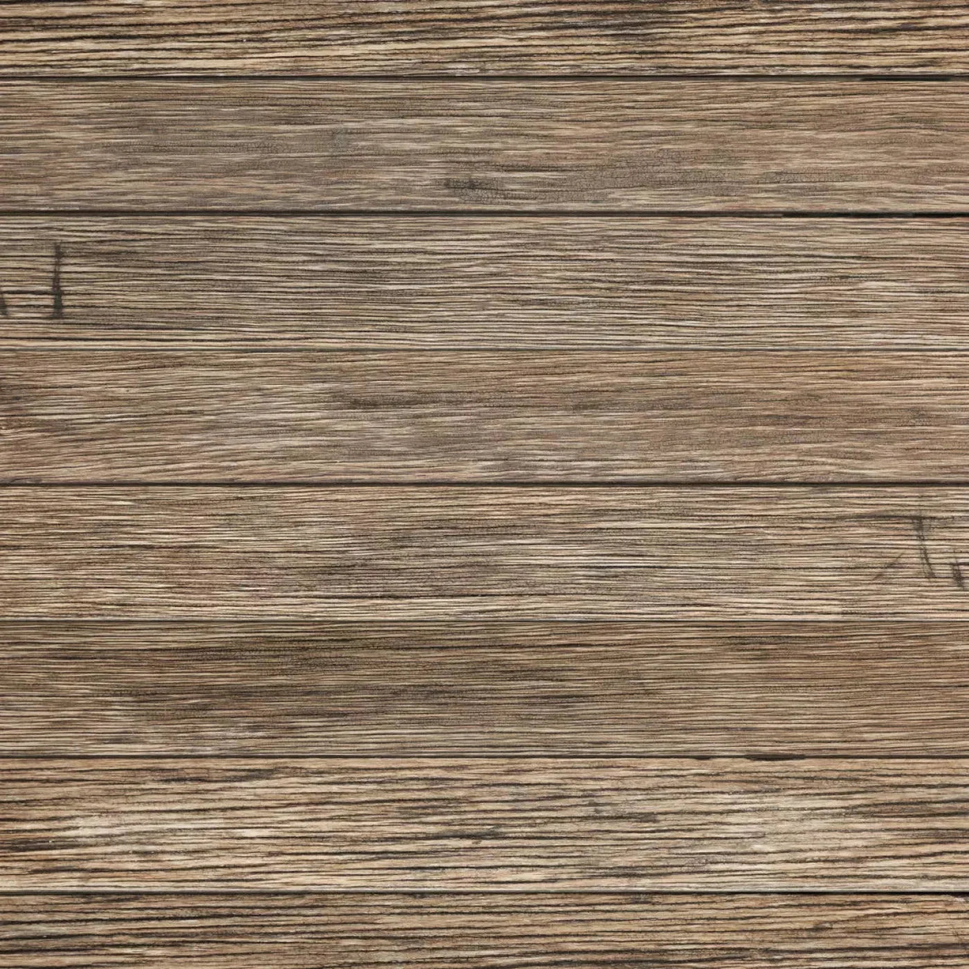 Teddy Backdrop