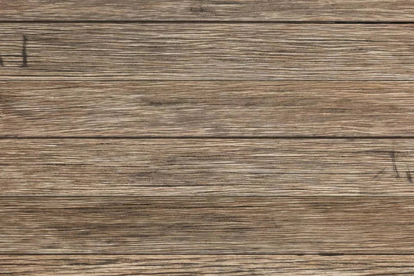 Teddy Backdrop
