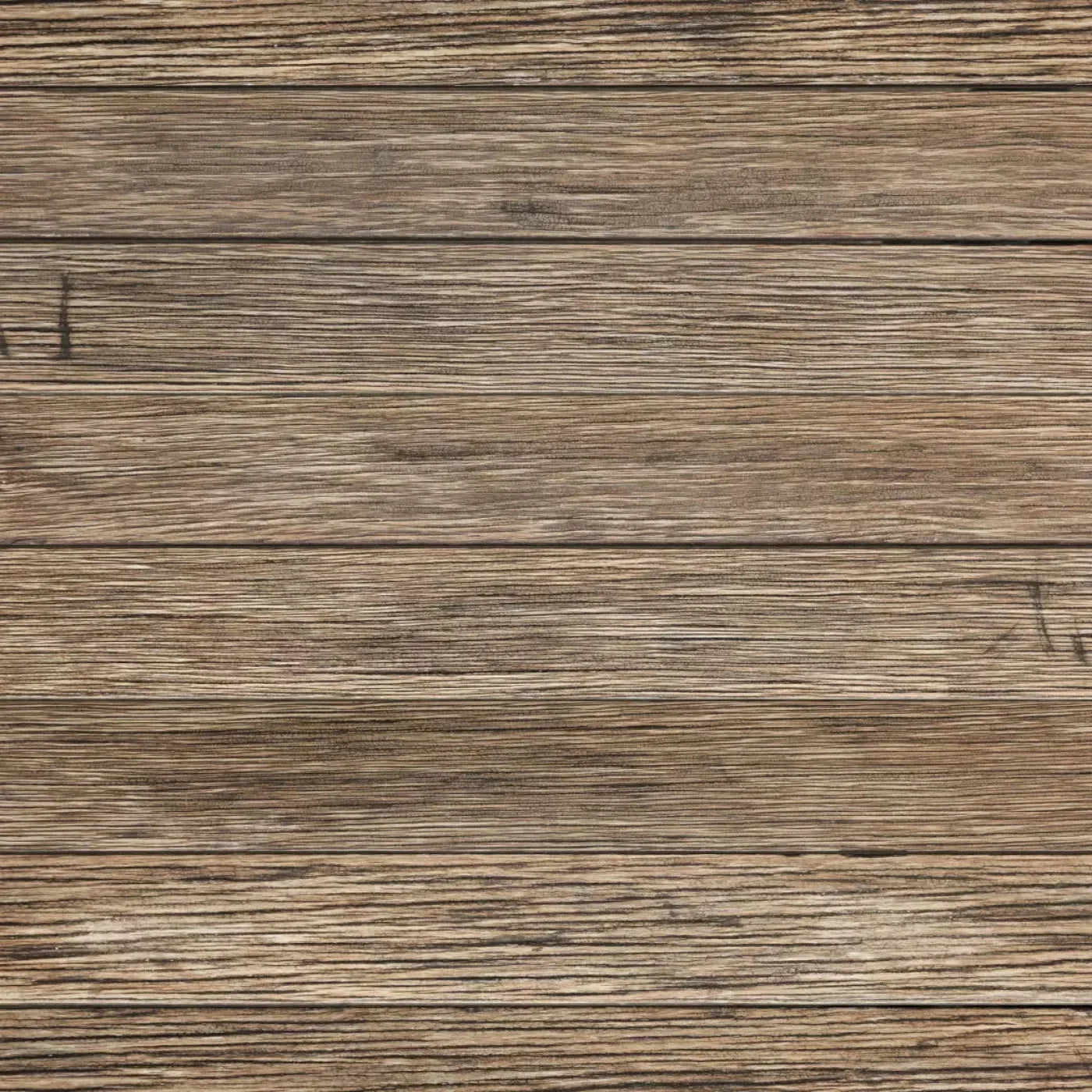 Teddy Backdrop