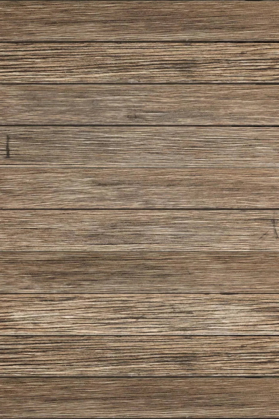 Teddy Backdrop