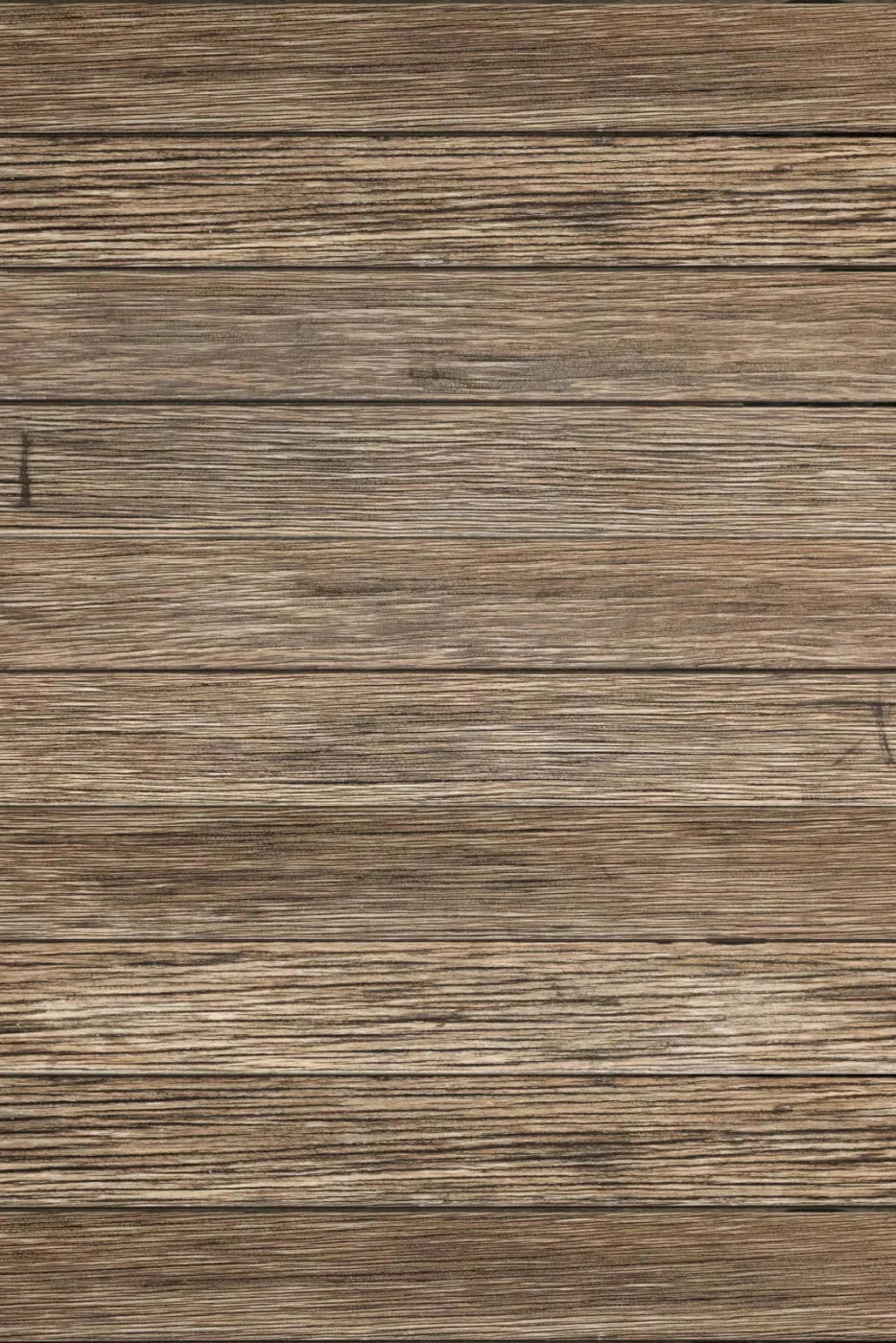 Teddy Backdrop