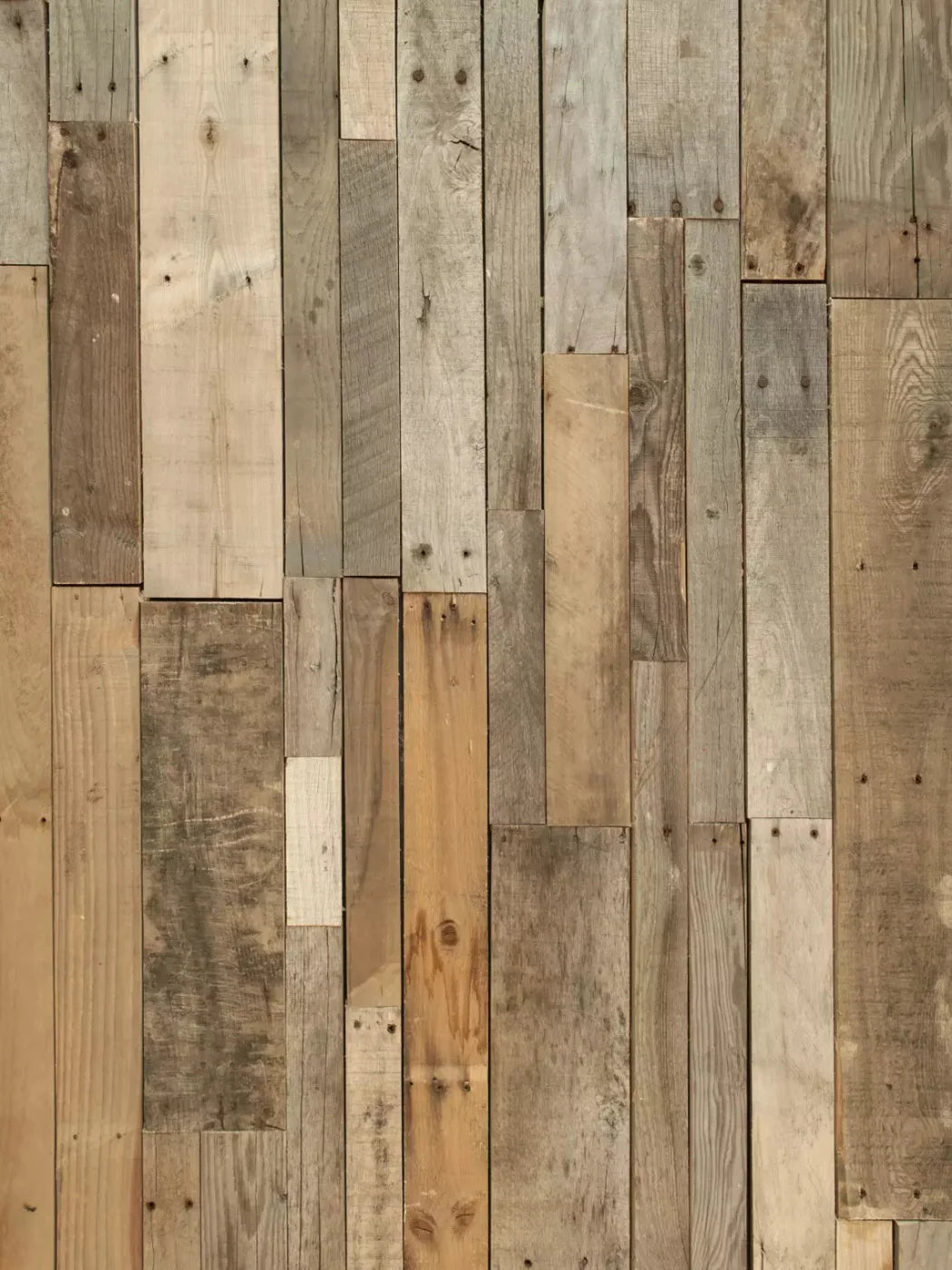 Tennessee Timber 5X7 Ultracloth ( 60 X 84 Inch ) Backdrop