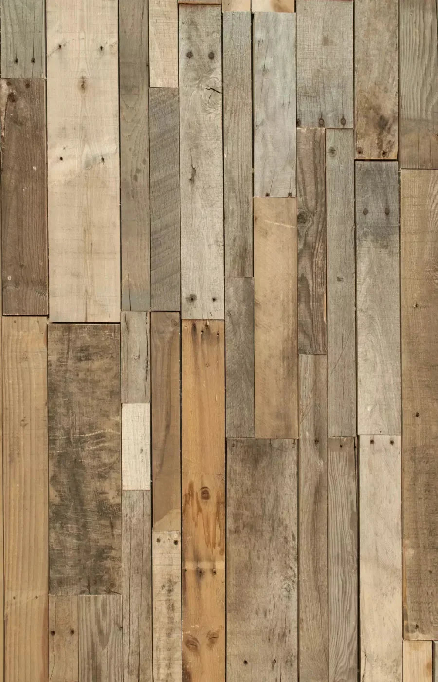 Tennessee Timber 8X12 Ultracloth ( 96 X 144 Inch ) Backdrop