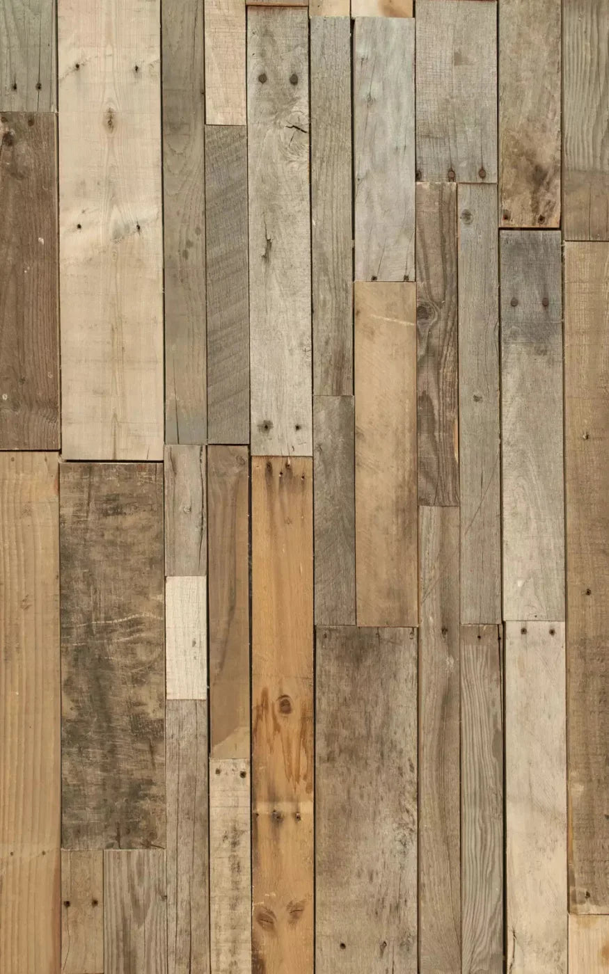 Tennessee Timber 9X14 Ultracloth ( 108 X 168 Inch ) Backdrop